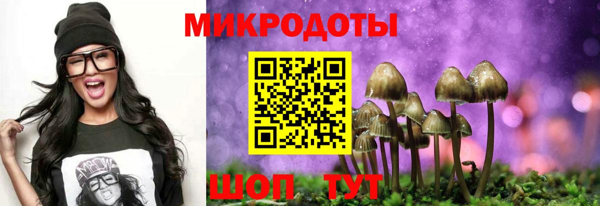 Галлюциногенные грибы мухоморы Ейск