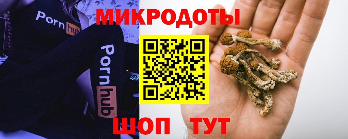 закладки  Вход с VPN  Псилоцибиновые грибы GOLDEN TEACHER  Ейск  Псилоцибиновые грибы Magic Shrooms 